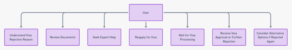 Flow Chart For The Process Applying for UAE Visa After Rejection